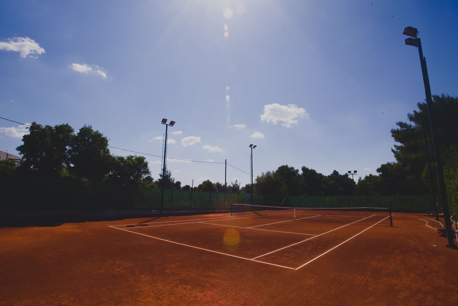 Sun flare across the red clay, LED lights and pines