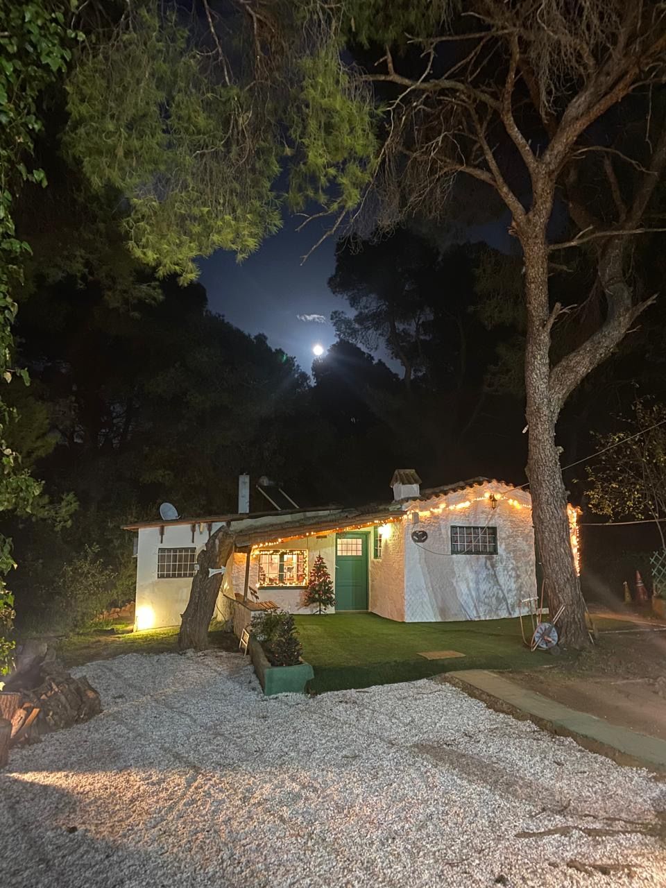 Moonlight over the little house, pines and gravel